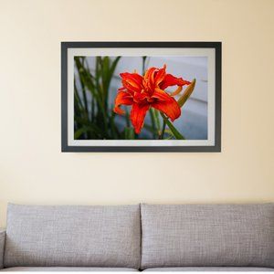 Lilly Contemporary flower photo artwork wall art